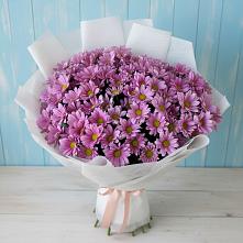 Букет цветов из:  Хризантемы в Бронницах
