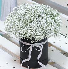 Цветочная композиция из Гипсофила в шляпной коробке #REPLACE_PRED# Бронницах